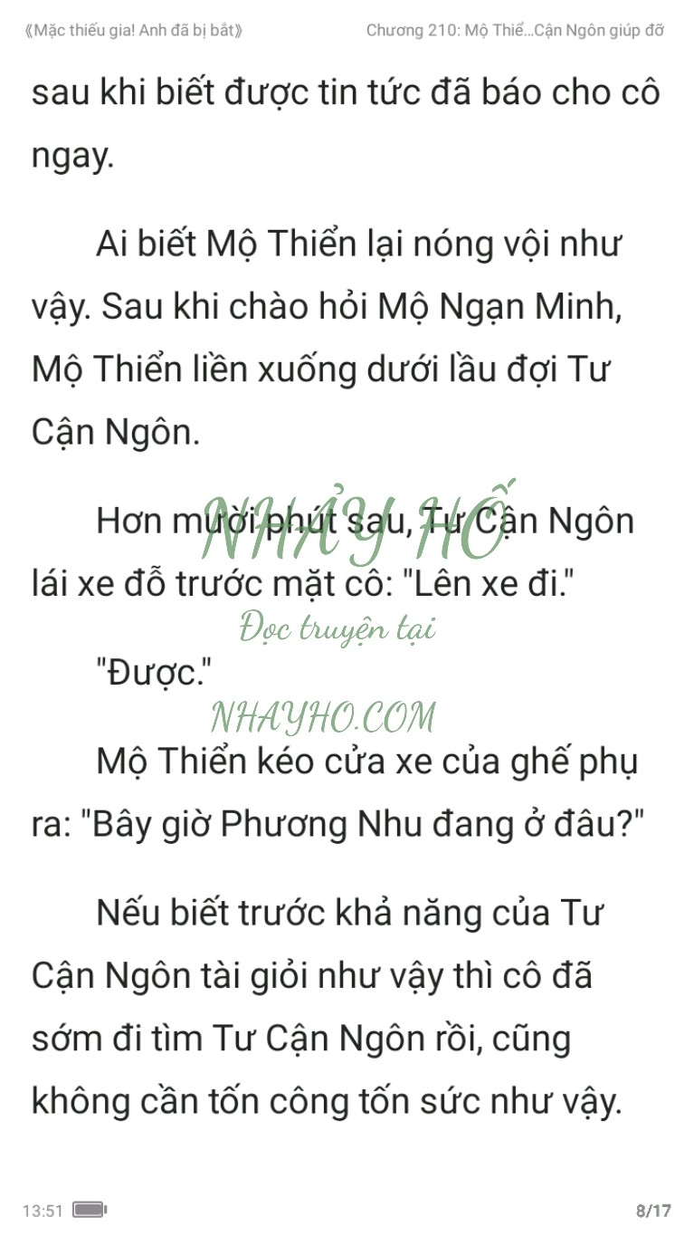 mac-thieu-gia-anh-da-bi-bat-210-7