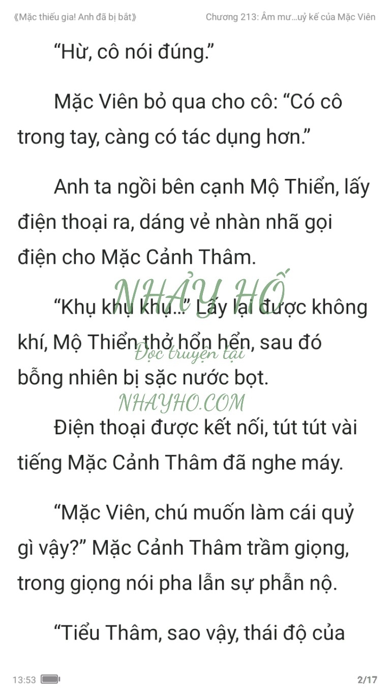 mac-thieu-gia-anh-da-bi-bat-213-1