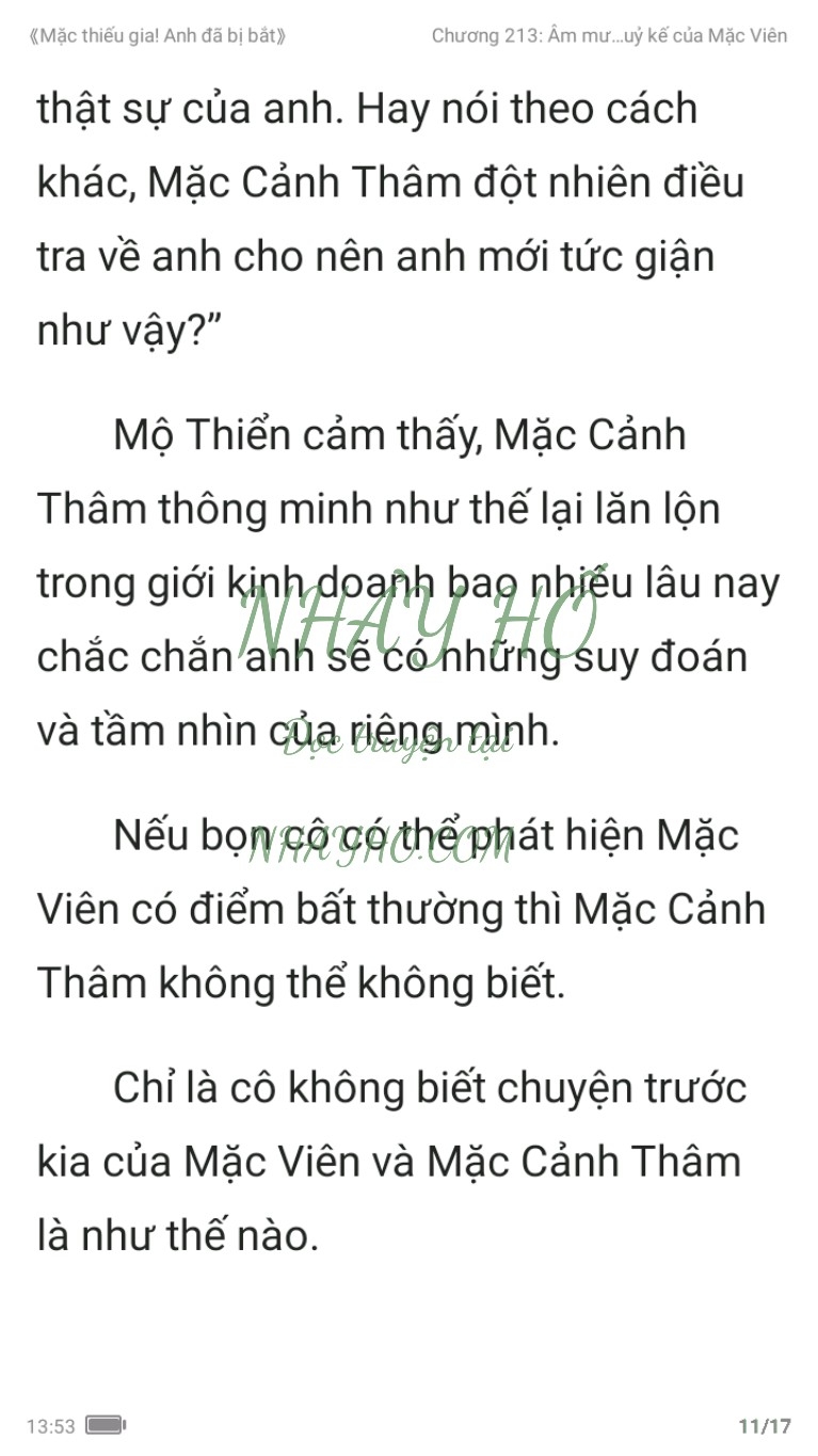 mac-thieu-gia-anh-da-bi-bat-213-10