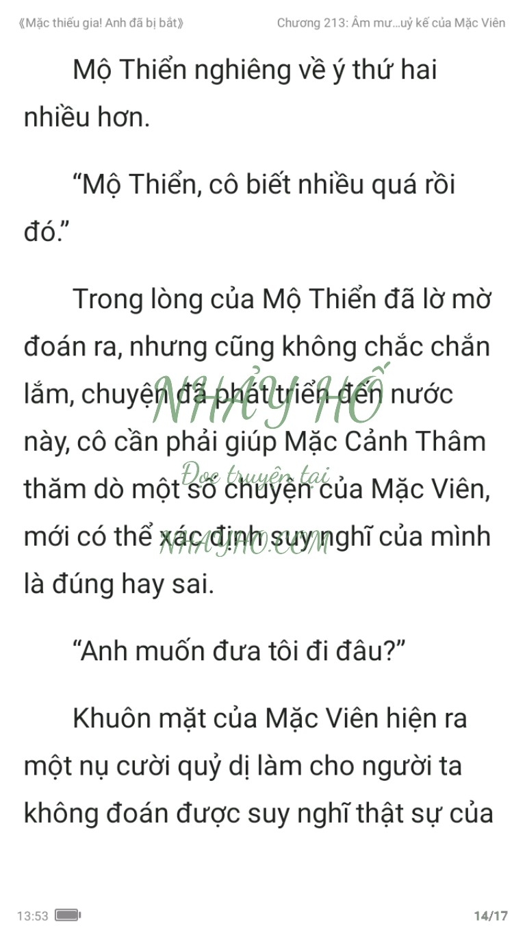 mac-thieu-gia-anh-da-bi-bat-213-13