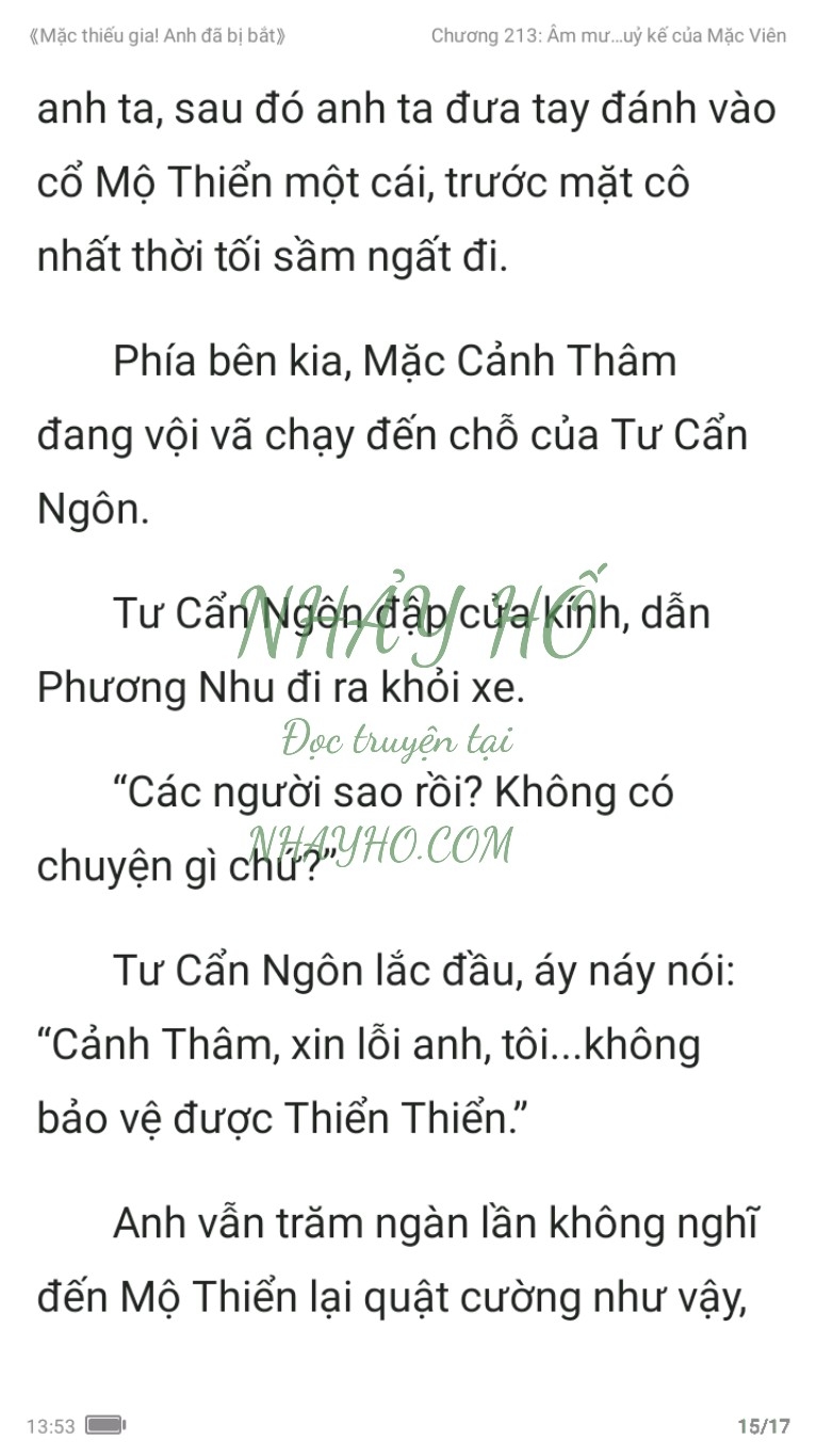 mac-thieu-gia-anh-da-bi-bat-213-14