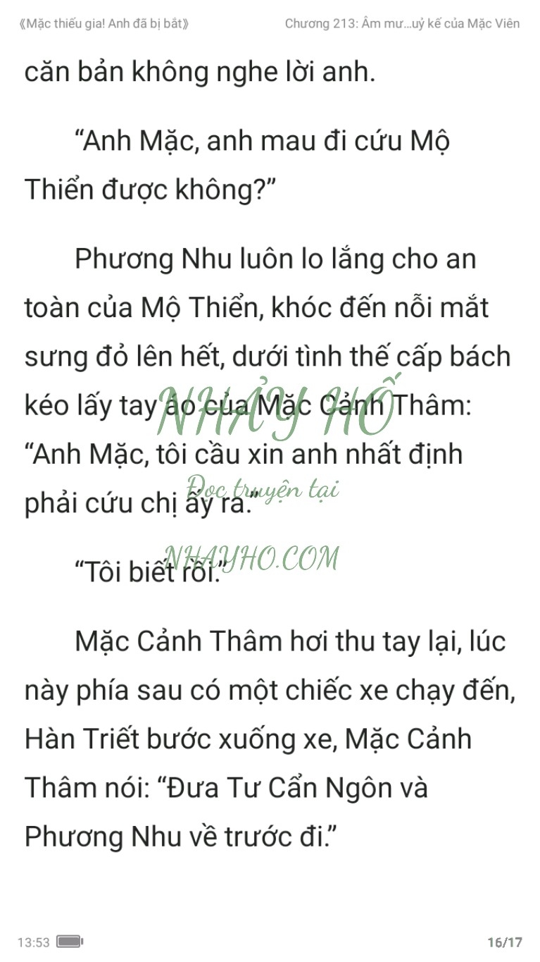 mac-thieu-gia-anh-da-bi-bat-213-15