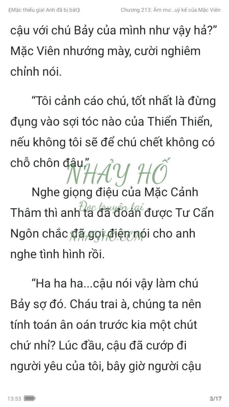 mac-thieu-gia-anh-da-bi-bat-213-2