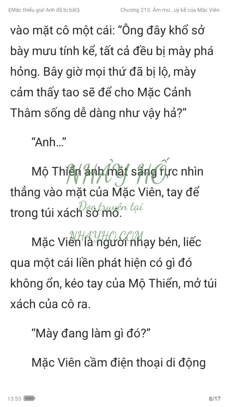 mac-thieu-gia-anh-da-bi-bat-213-7