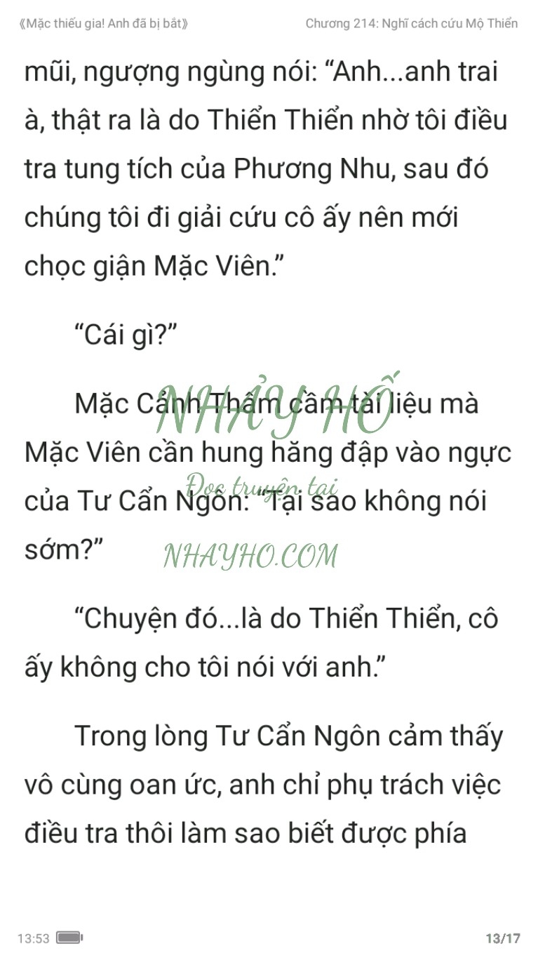 mac-thieu-gia-anh-da-bi-bat-214-12