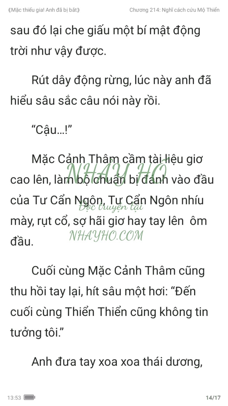 mac-thieu-gia-anh-da-bi-bat-214-13