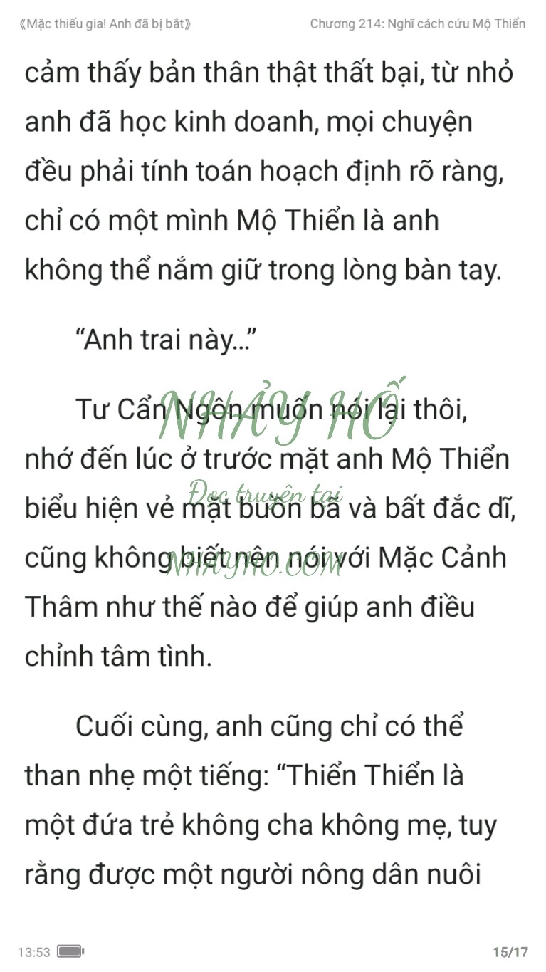 mac-thieu-gia-anh-da-bi-bat-214-14