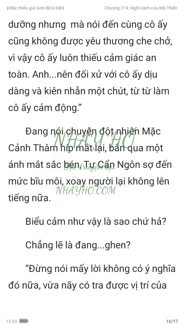 mac-thieu-gia-anh-da-bi-bat-214-15