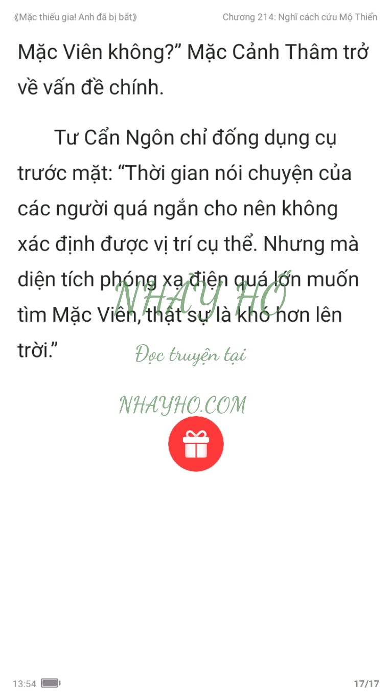 mac-thieu-gia-anh-da-bi-bat-214-16