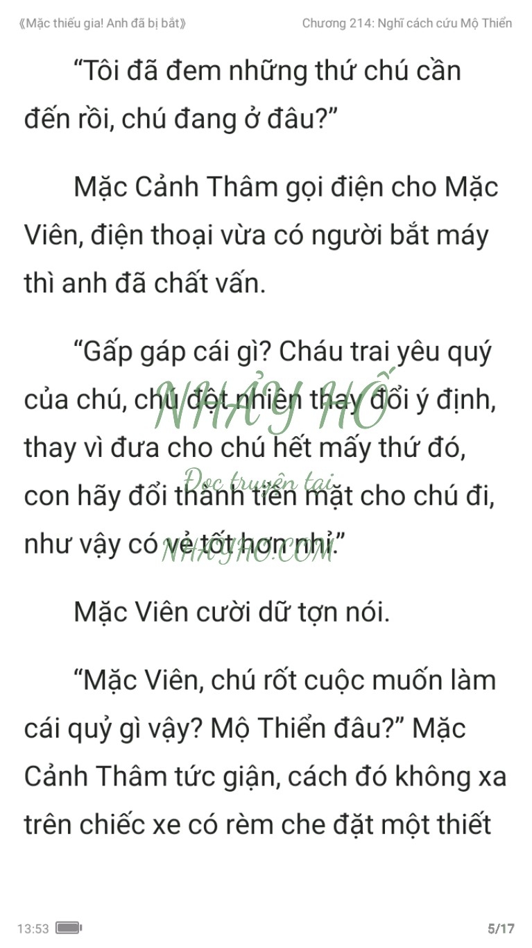 mac-thieu-gia-anh-da-bi-bat-214-4