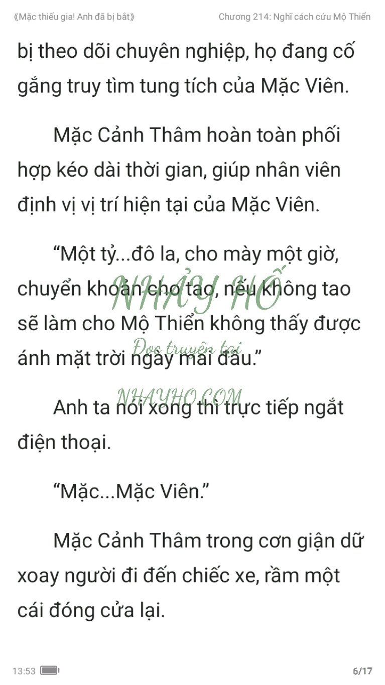 mac-thieu-gia-anh-da-bi-bat-214-5