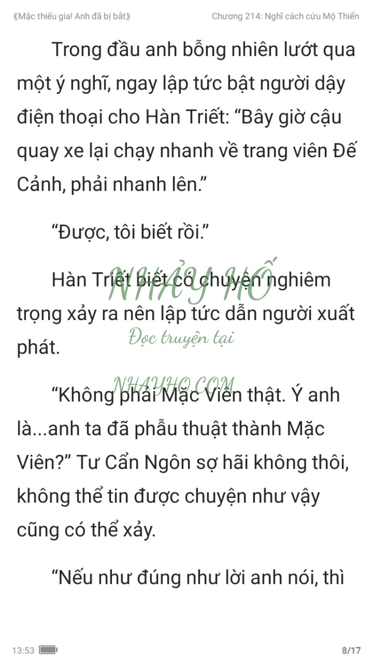 mac-thieu-gia-anh-da-bi-bat-214-7