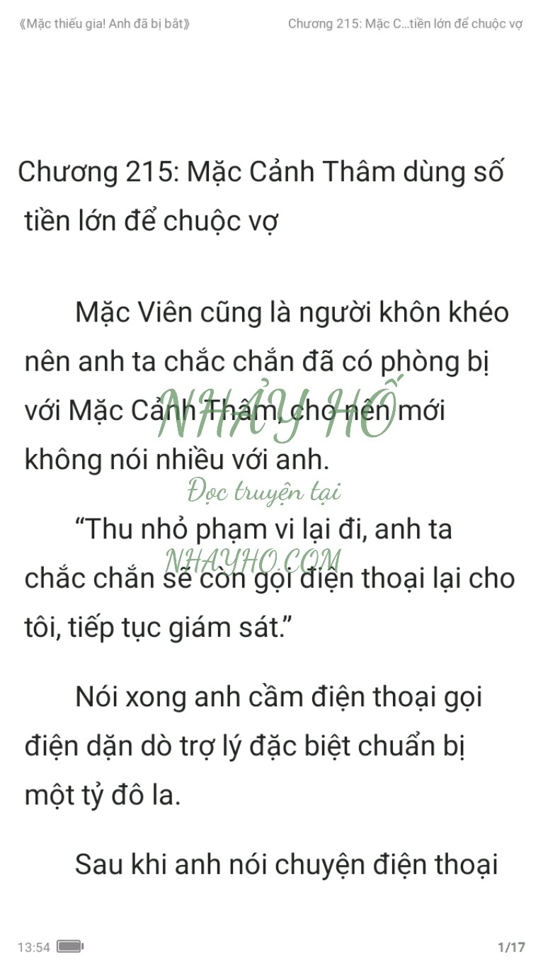 mac-thieu-gia-anh-da-bi-bat-215-0