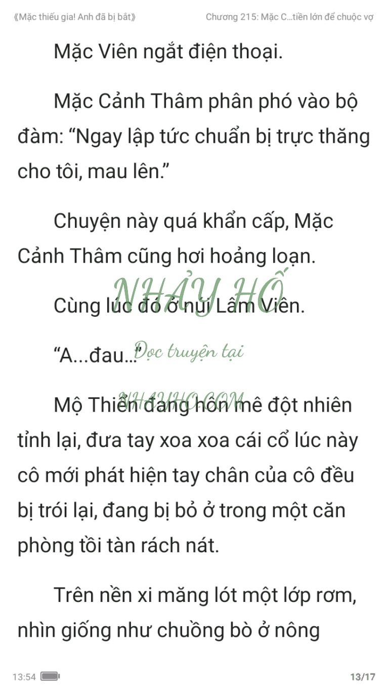 mac-thieu-gia-anh-da-bi-bat-215-12