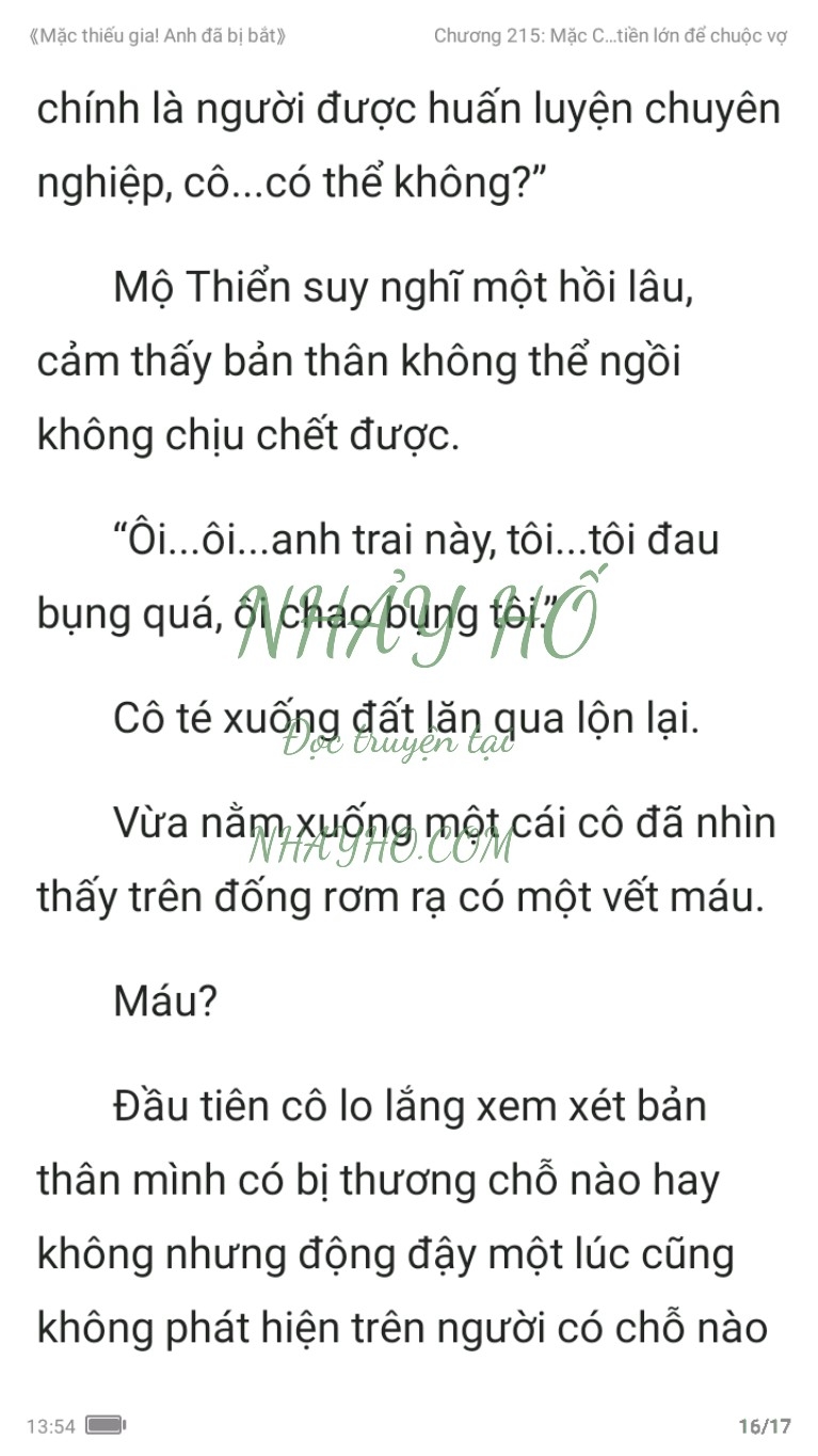 mac-thieu-gia-anh-da-bi-bat-215-15