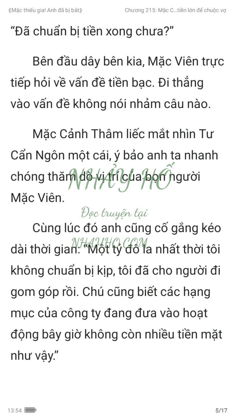 mac-thieu-gia-anh-da-bi-bat-215-4