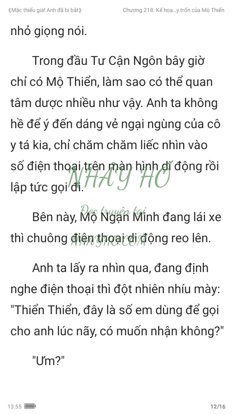 mac-thieu-gia-anh-da-bi-bat-218-11