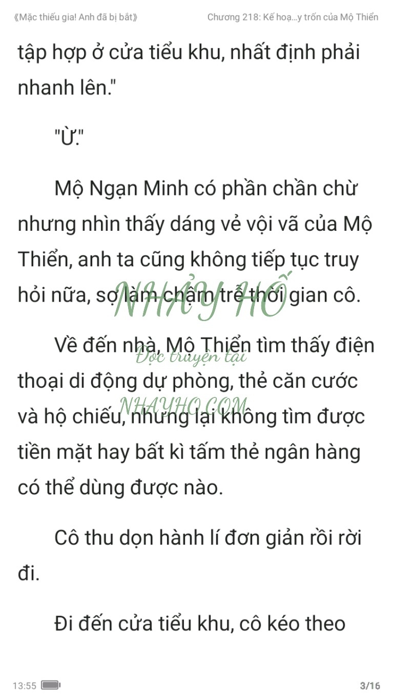 mac-thieu-gia-anh-da-bi-bat-218-2