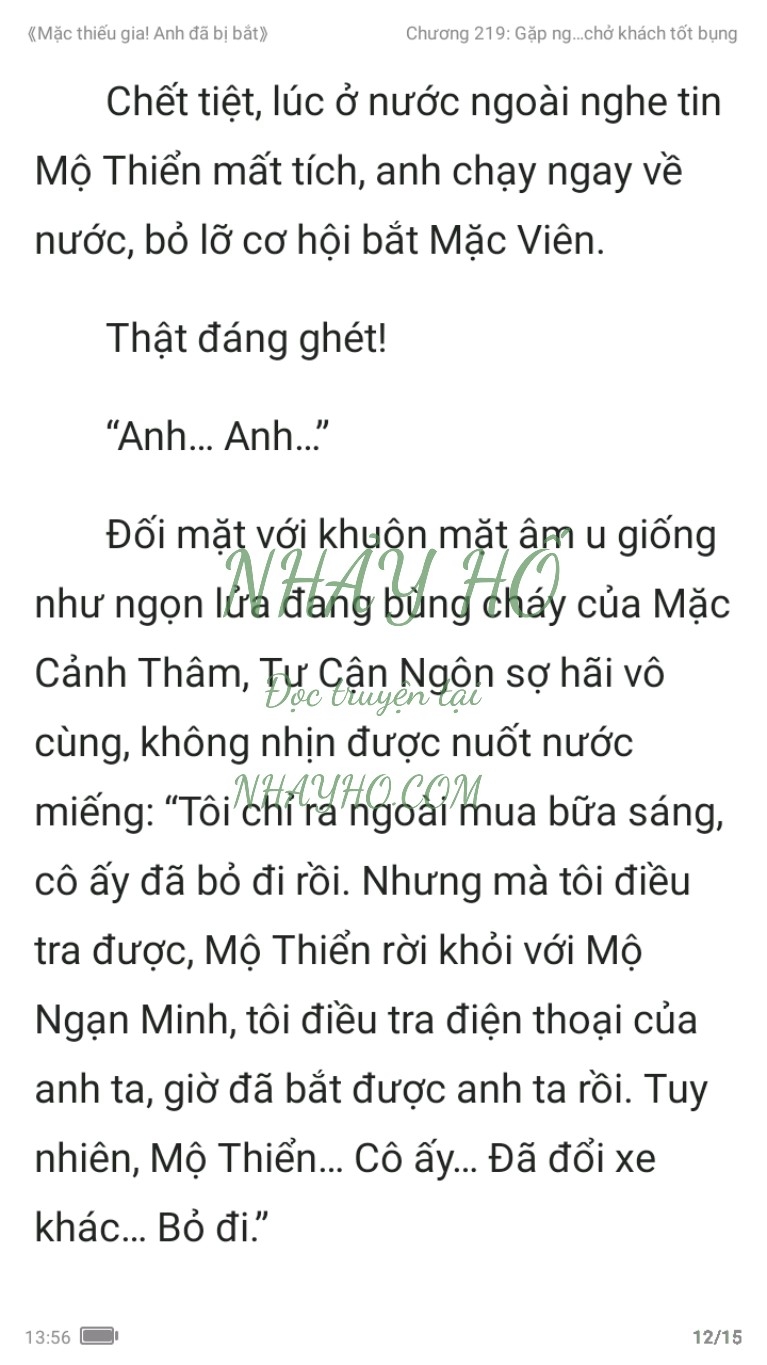 mac-thieu-gia-anh-da-bi-bat-219-11