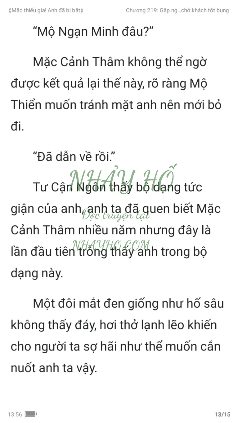 mac-thieu-gia-anh-da-bi-bat-219-12