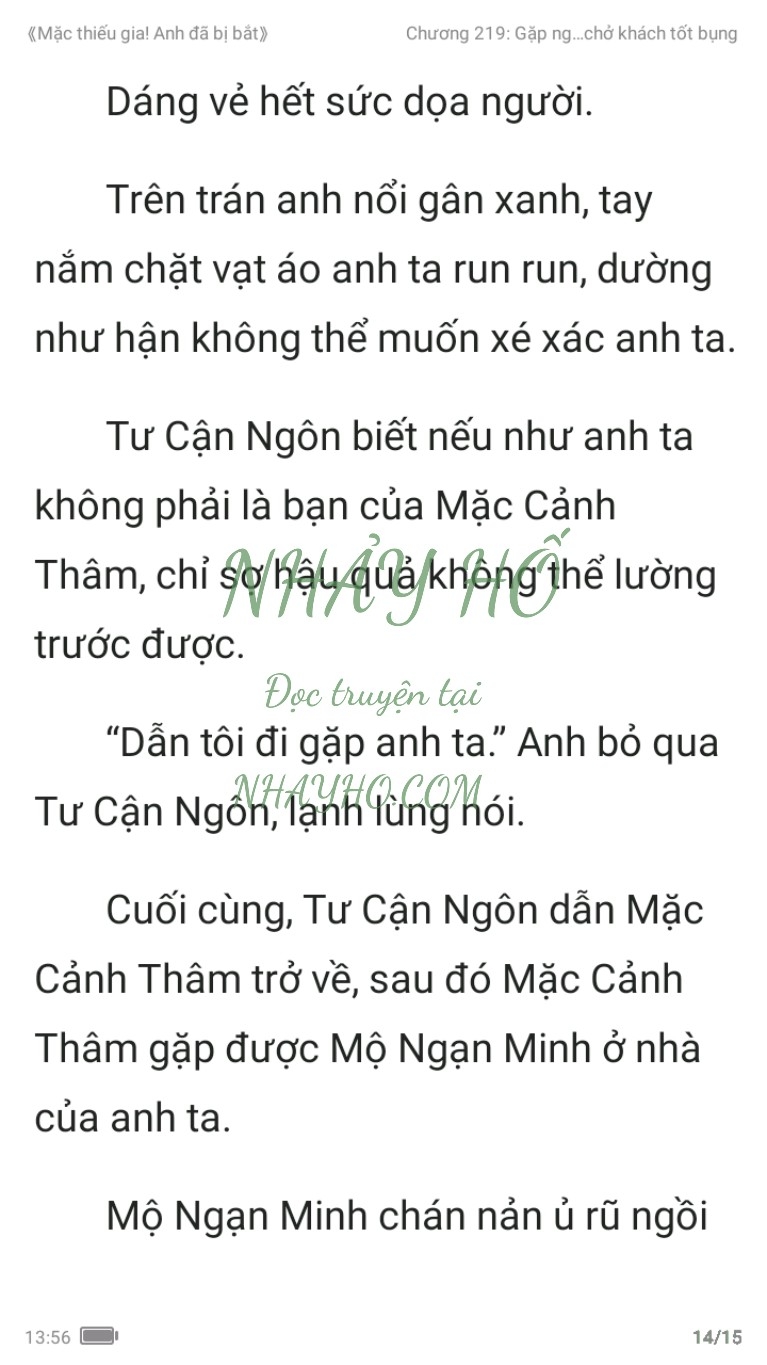 mac-thieu-gia-anh-da-bi-bat-219-13