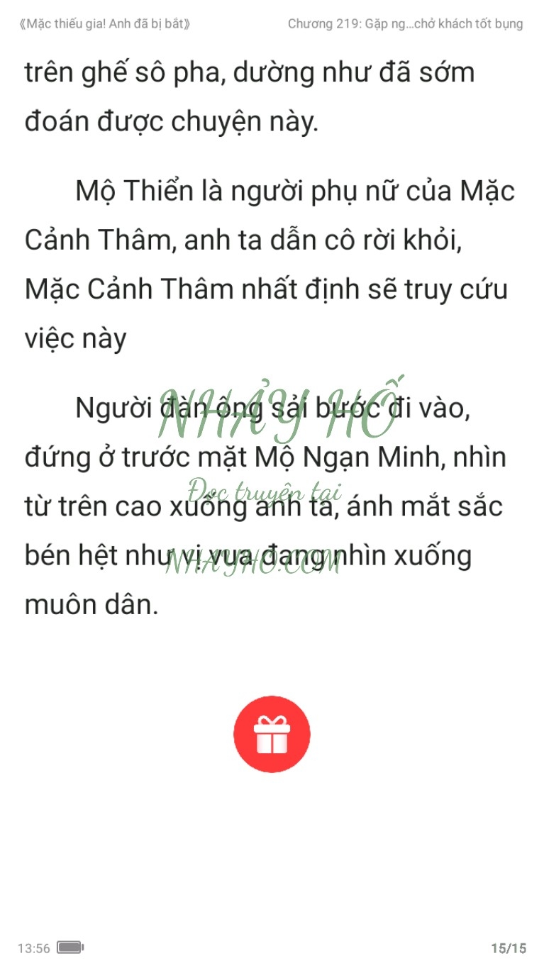 mac-thieu-gia-anh-da-bi-bat-219-14