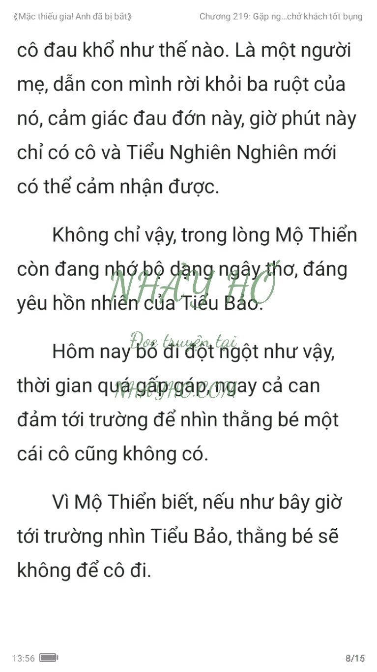 mac-thieu-gia-anh-da-bi-bat-219-7