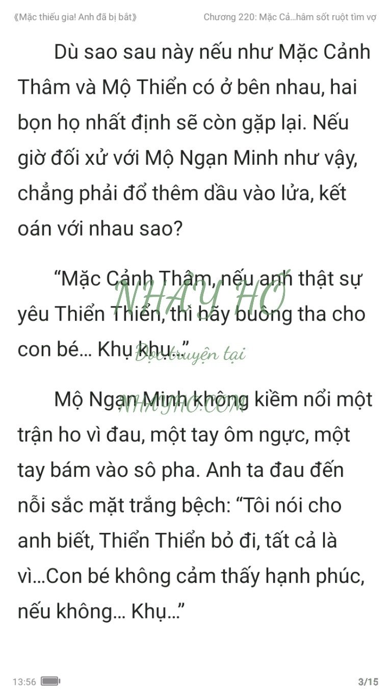 mac-thieu-gia-anh-da-bi-bat-220-2