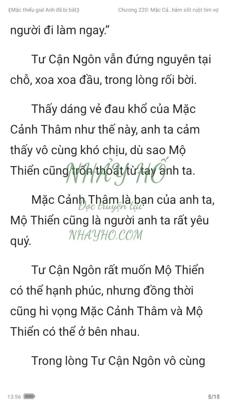 mac-thieu-gia-anh-da-bi-bat-220-4