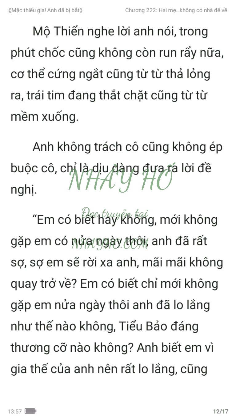 mac-thieu-gia-anh-da-bi-bat-222-11