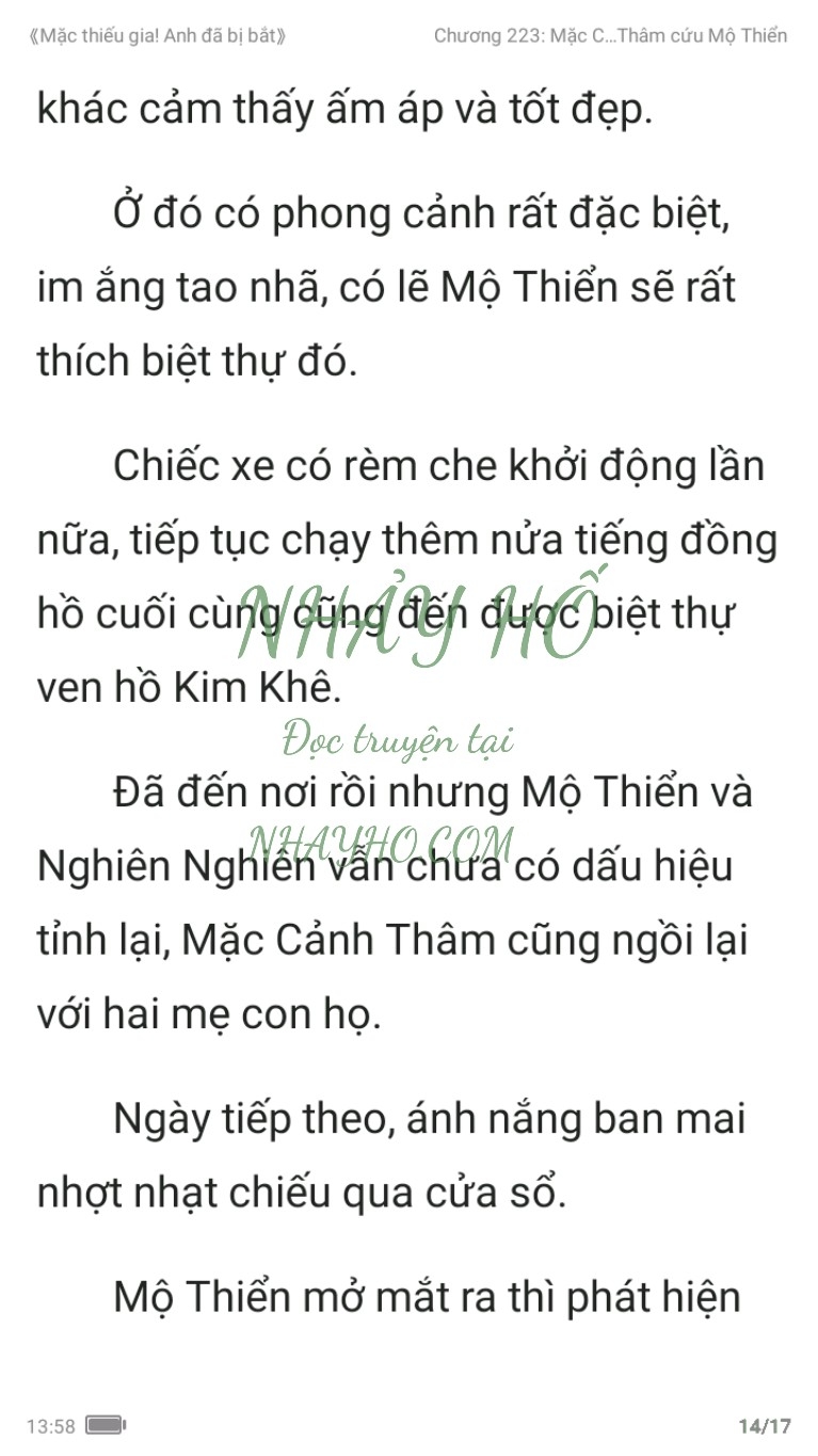 mac-thieu-gia-anh-da-bi-bat-223-13