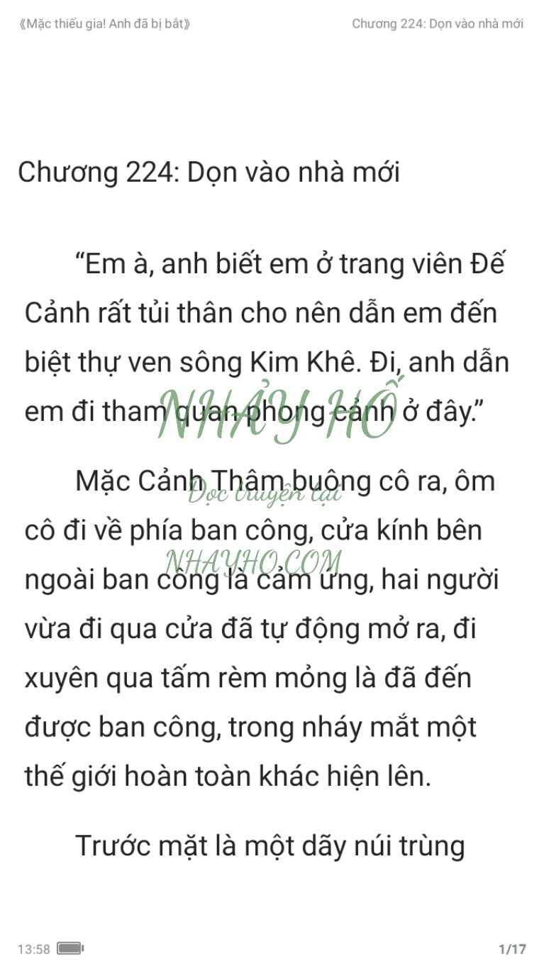 mac-thieu-gia-anh-da-bi-bat-224-0