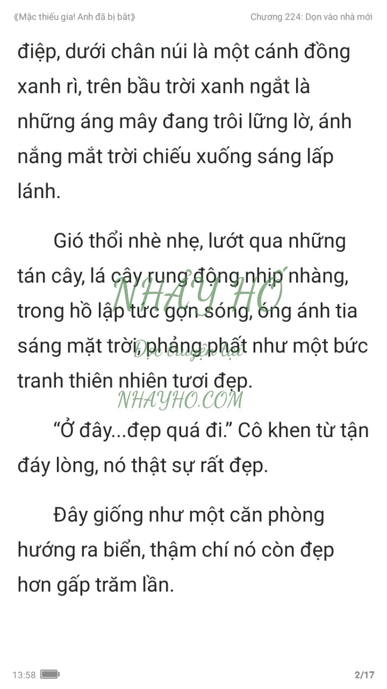 mac-thieu-gia-anh-da-bi-bat-224-1