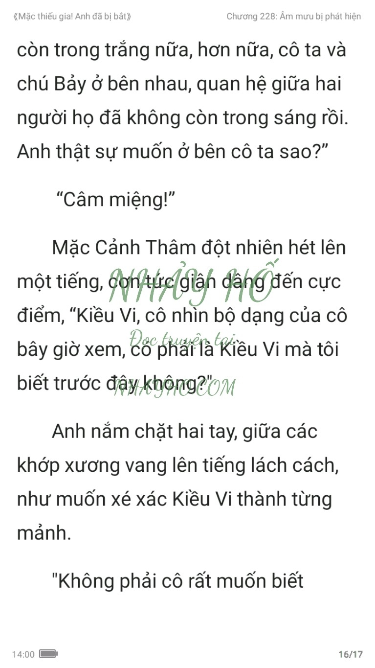 mac-thieu-gia-anh-da-bi-bat-228-15