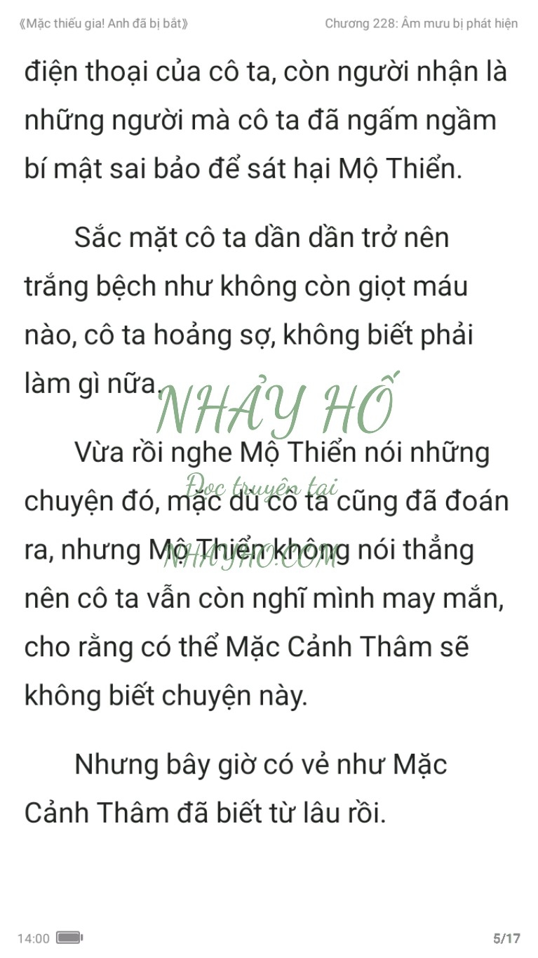 mac-thieu-gia-anh-da-bi-bat-228-4