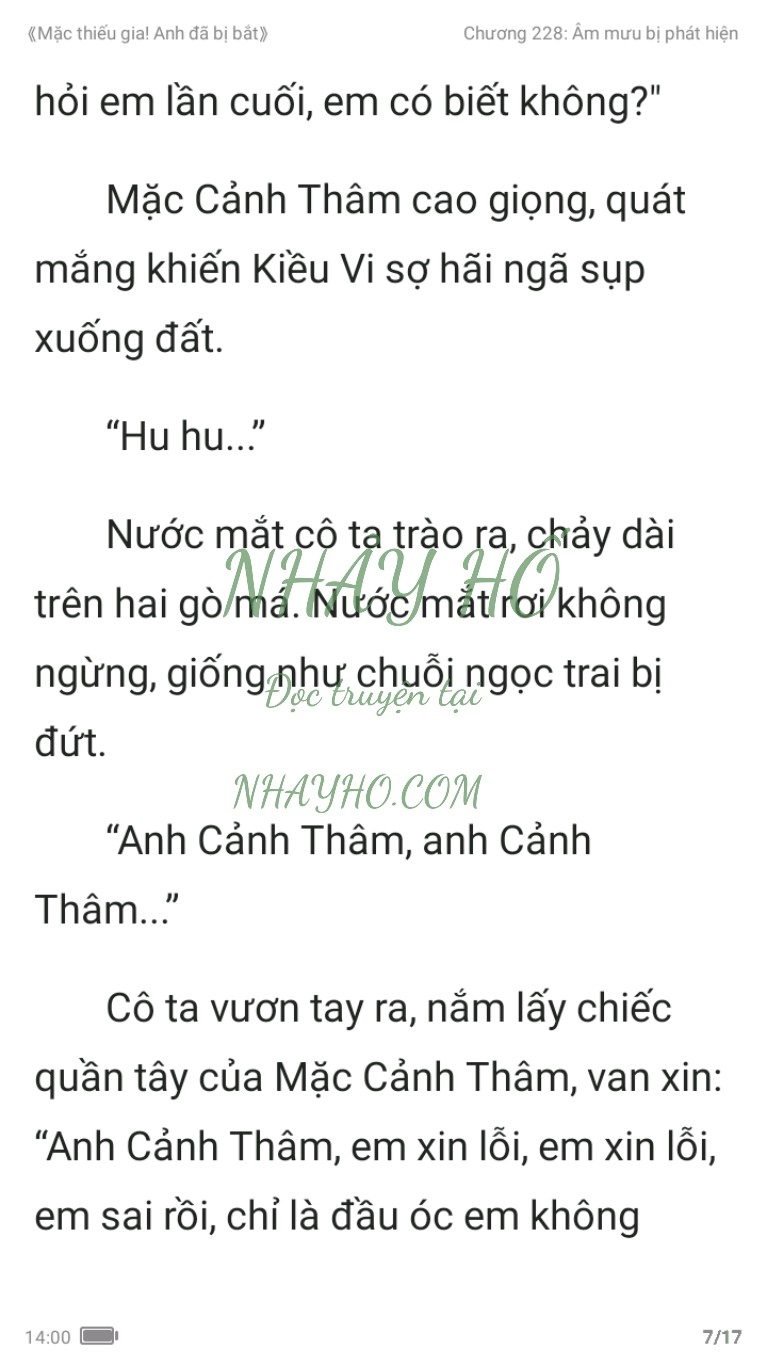 mac-thieu-gia-anh-da-bi-bat-228-6