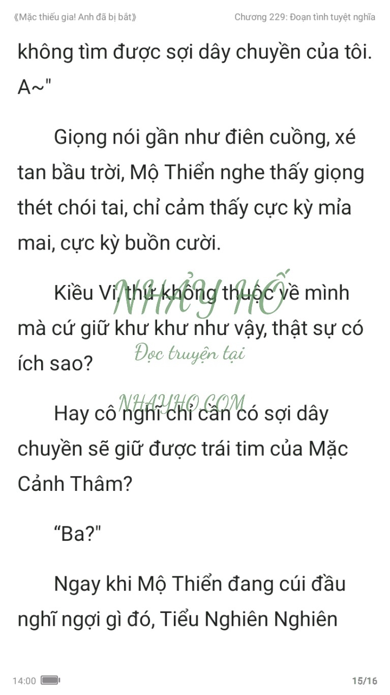 mac-thieu-gia-anh-da-bi-bat-229-14