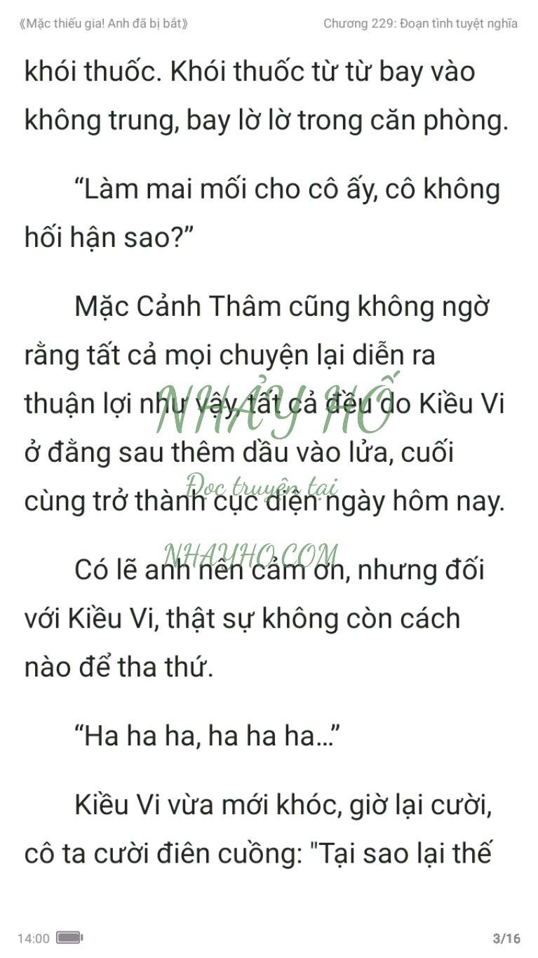 mac-thieu-gia-anh-da-bi-bat-229-2