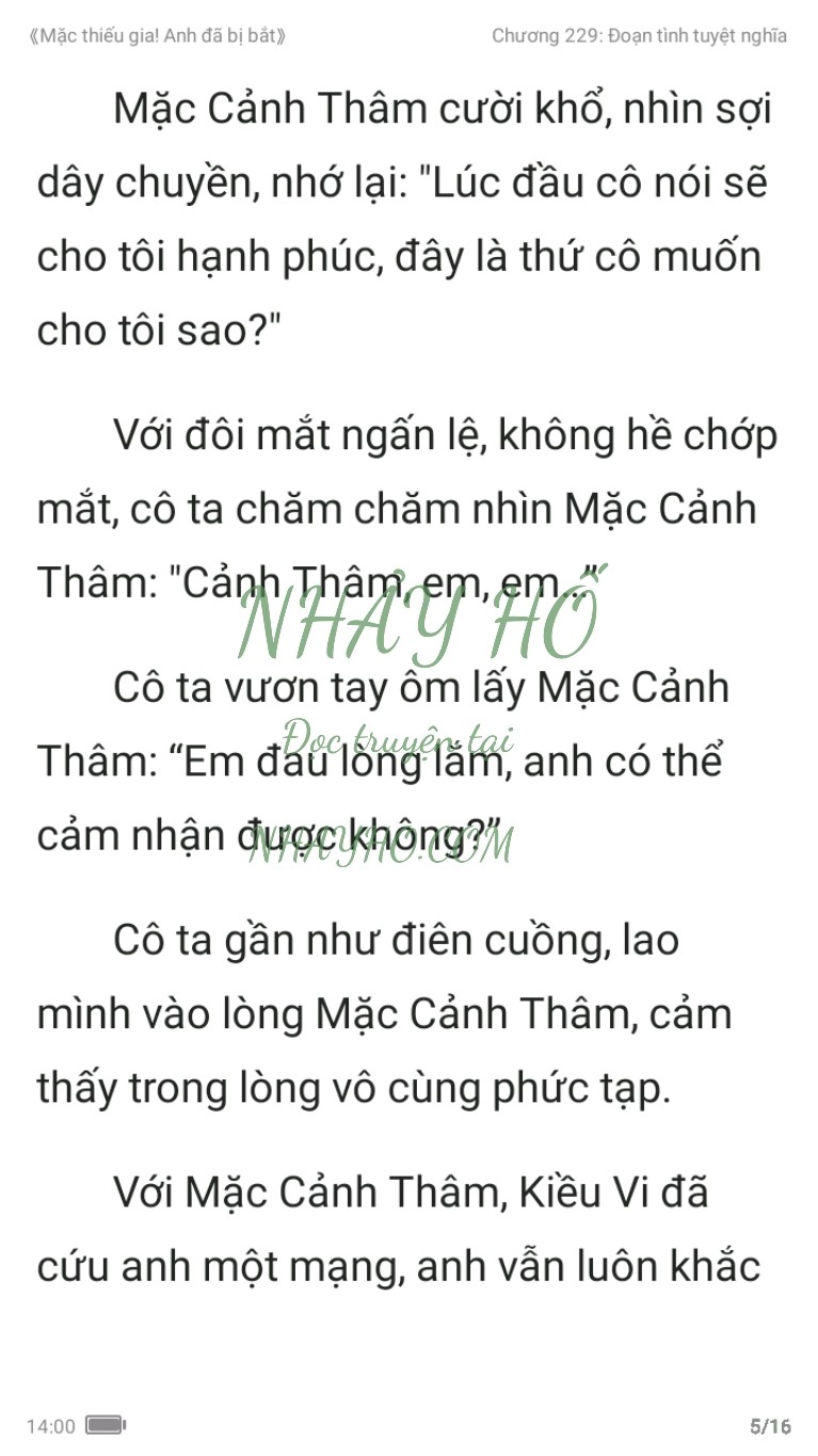 mac-thieu-gia-anh-da-bi-bat-229-4