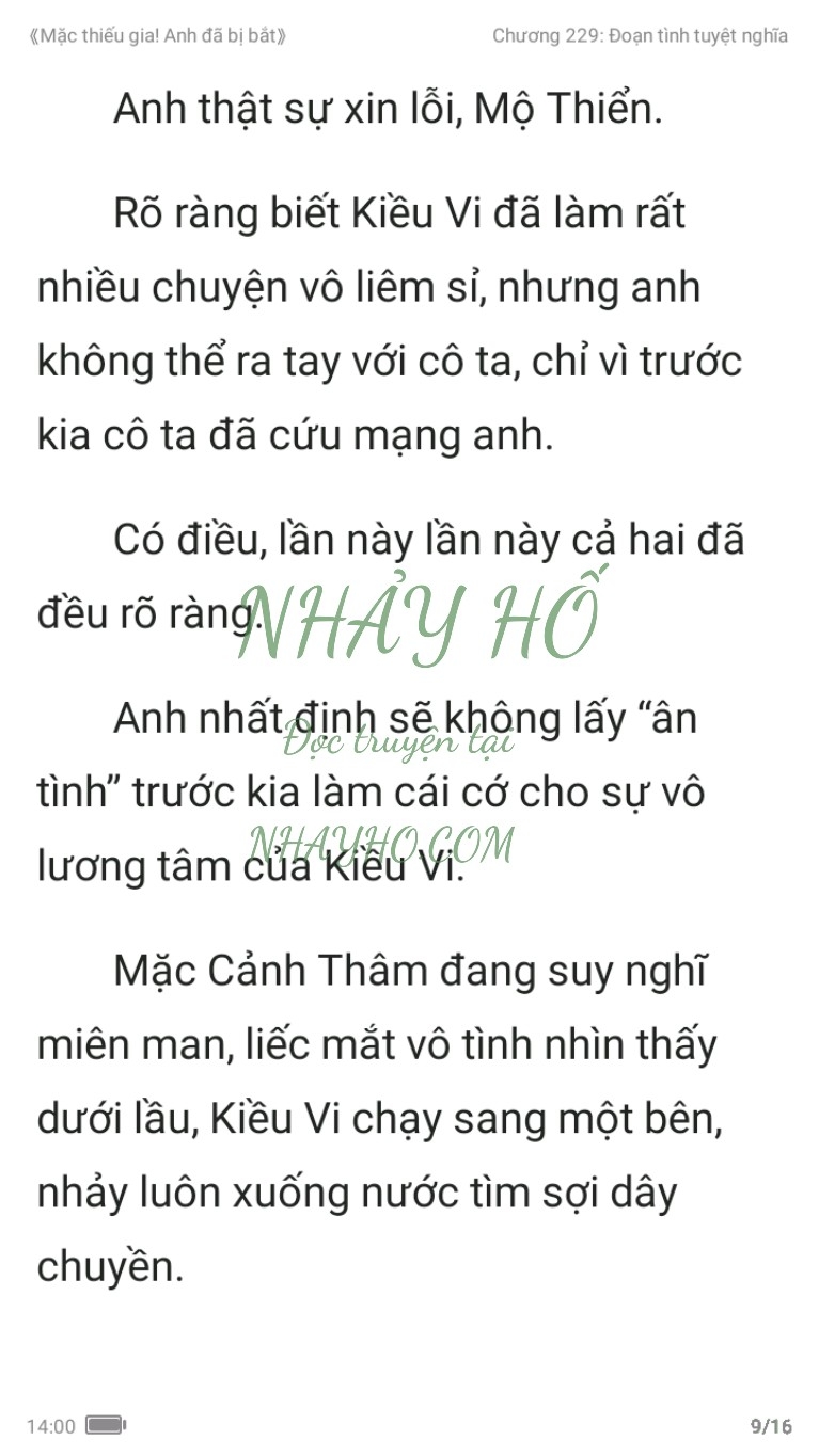 mac-thieu-gia-anh-da-bi-bat-229-8