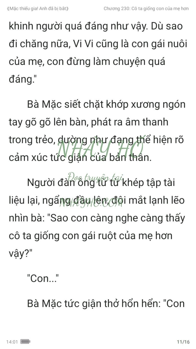 mac-thieu-gia-anh-da-bi-bat-230-10