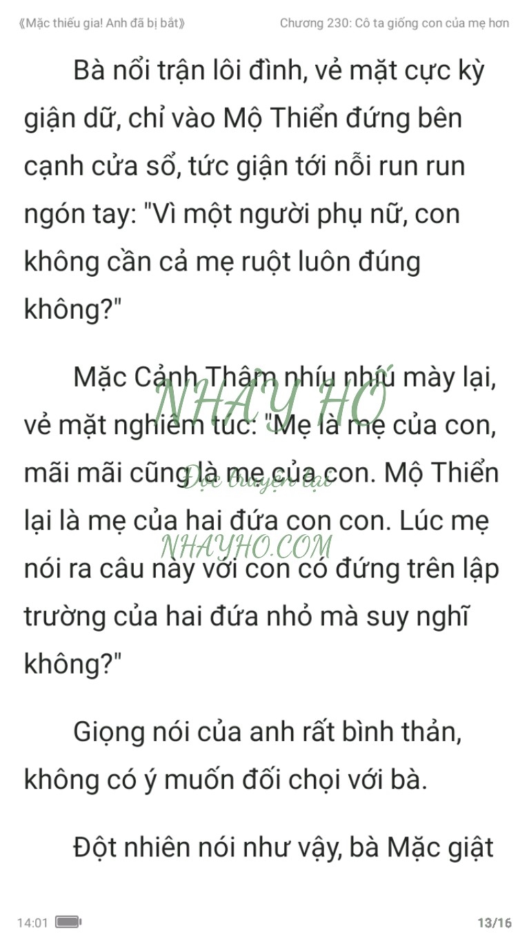 mac-thieu-gia-anh-da-bi-bat-230-12