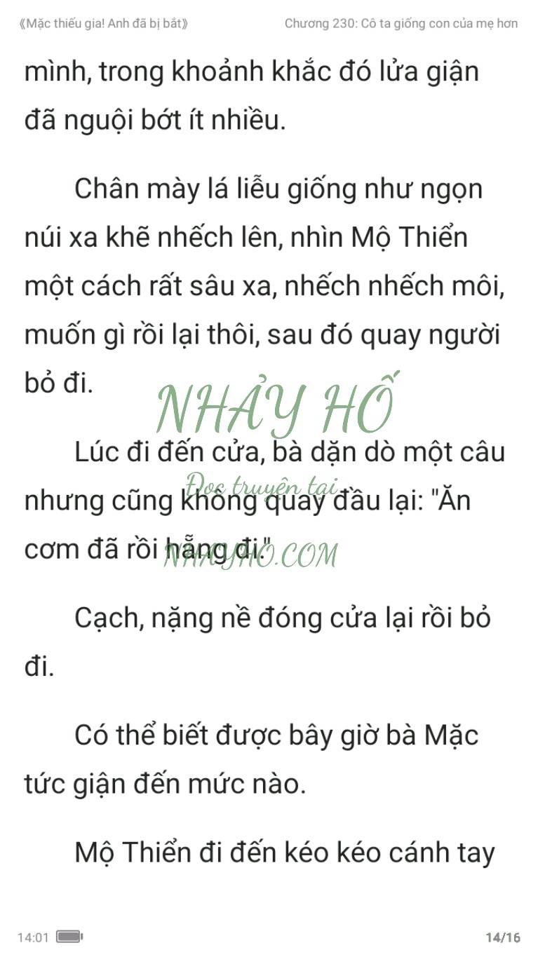 mac-thieu-gia-anh-da-bi-bat-230-13