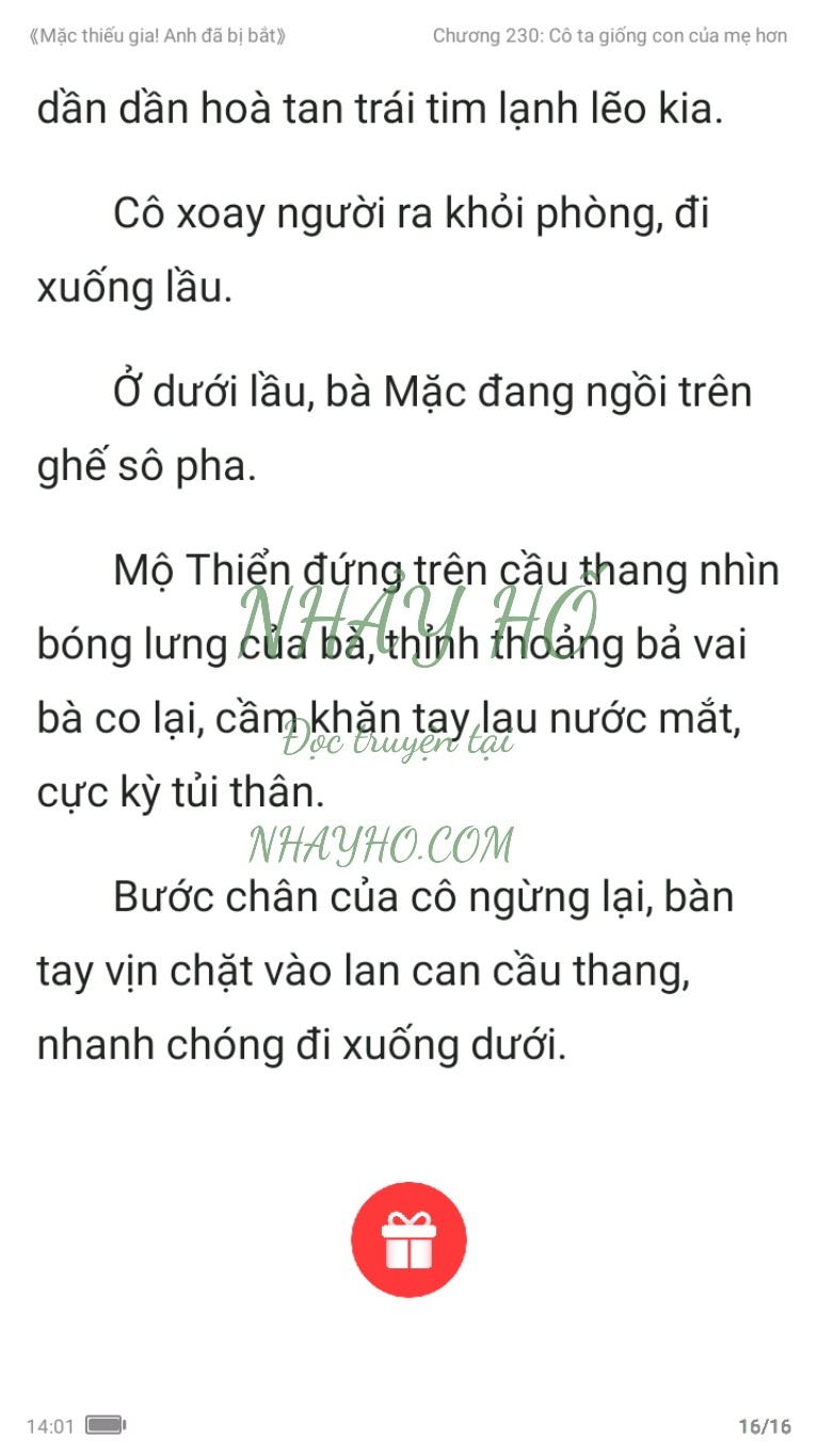 mac-thieu-gia-anh-da-bi-bat-230-15