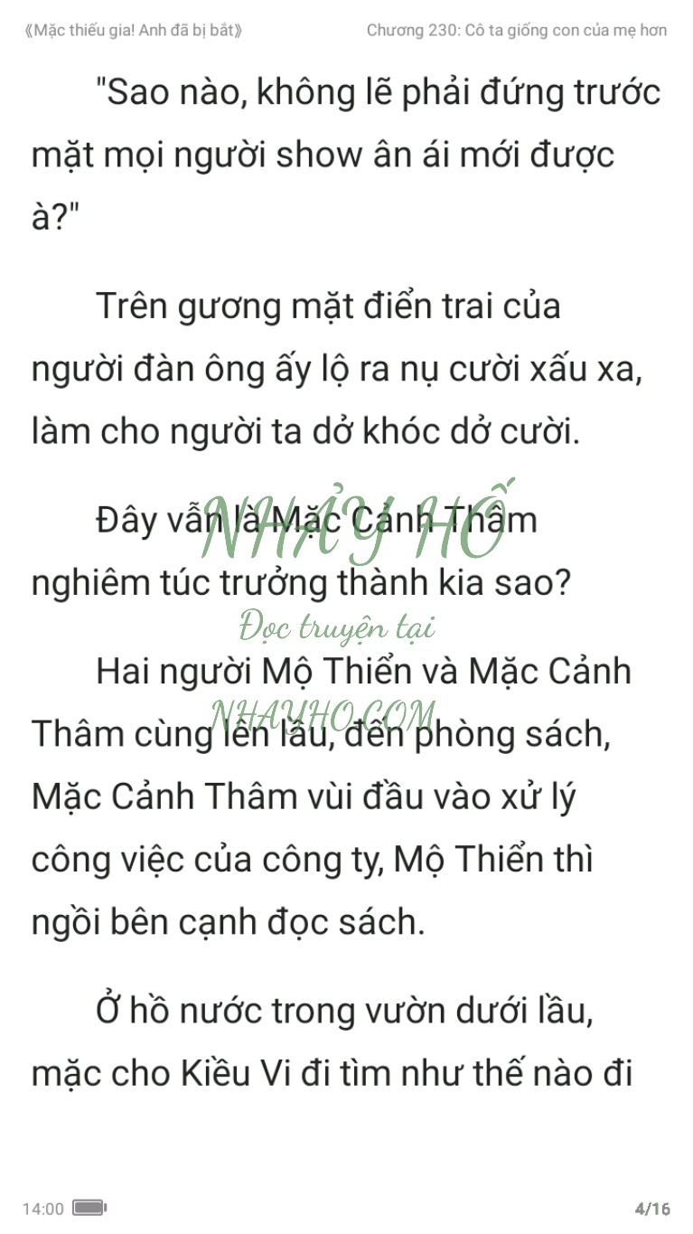 mac-thieu-gia-anh-da-bi-bat-230-3