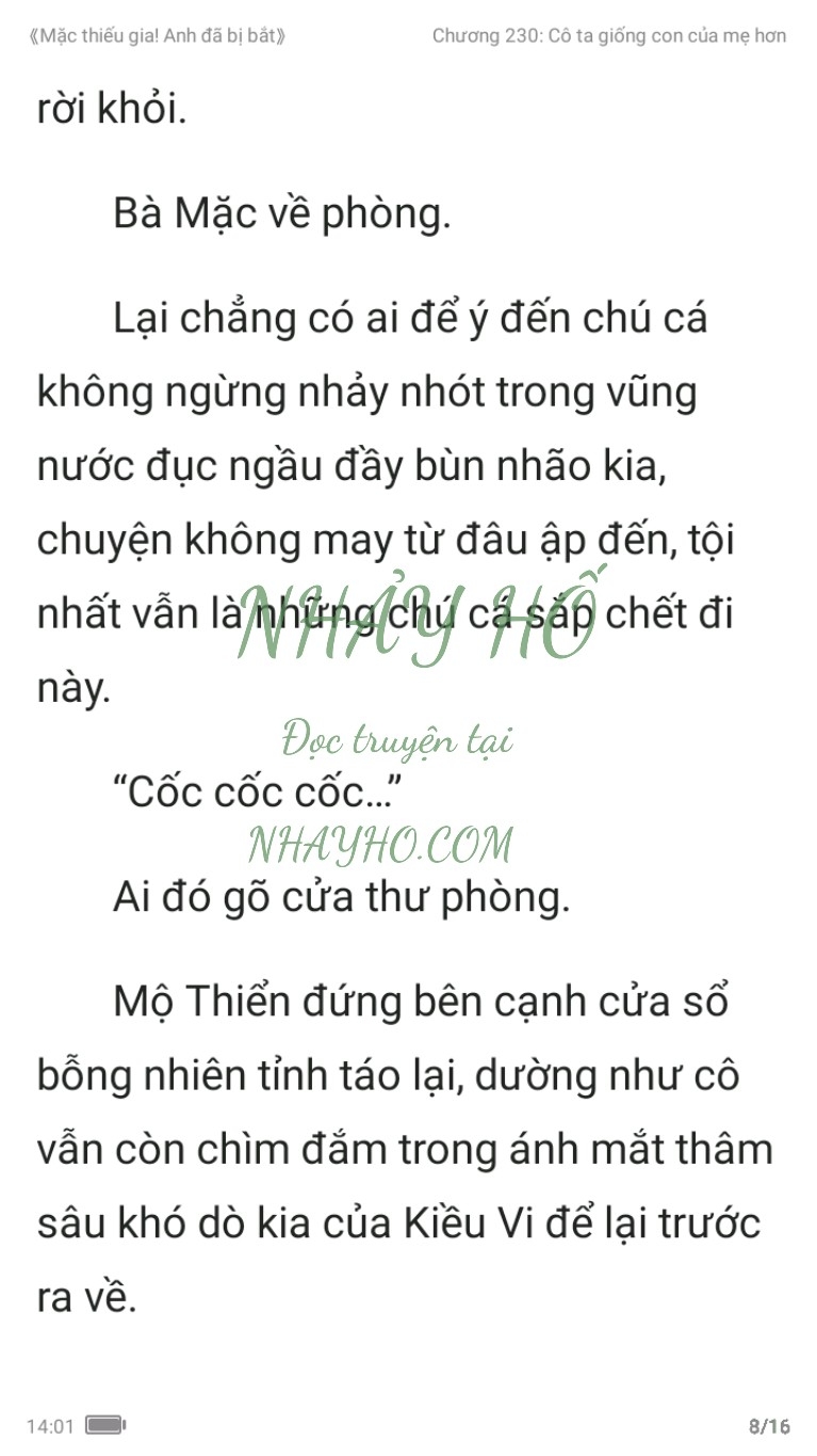 mac-thieu-gia-anh-da-bi-bat-230-7