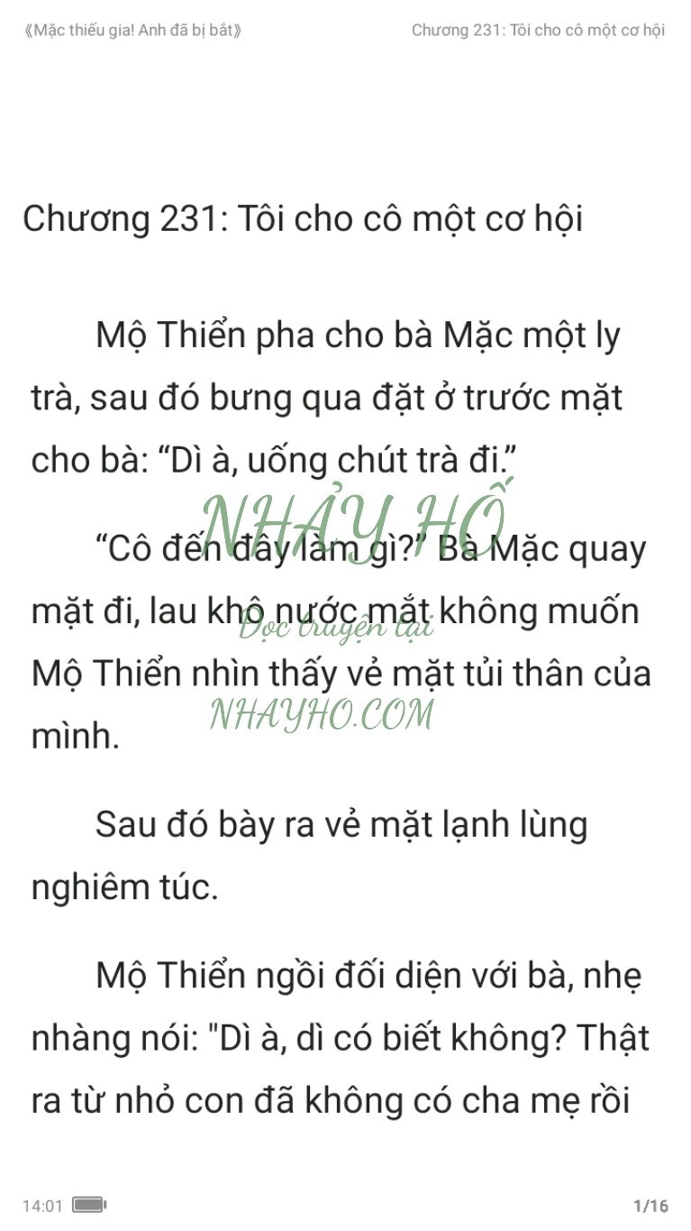 mac-thieu-gia-anh-da-bi-bat-231-0