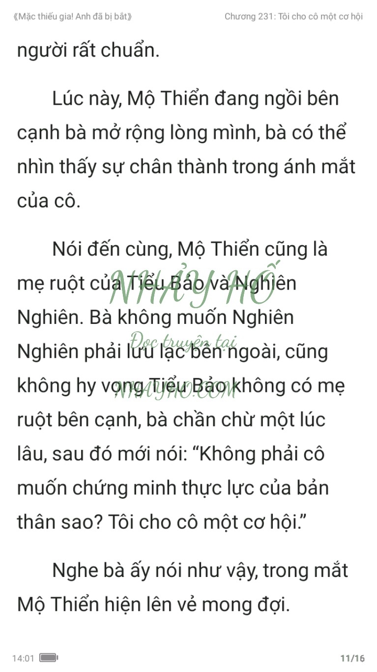 mac-thieu-gia-anh-da-bi-bat-231-10