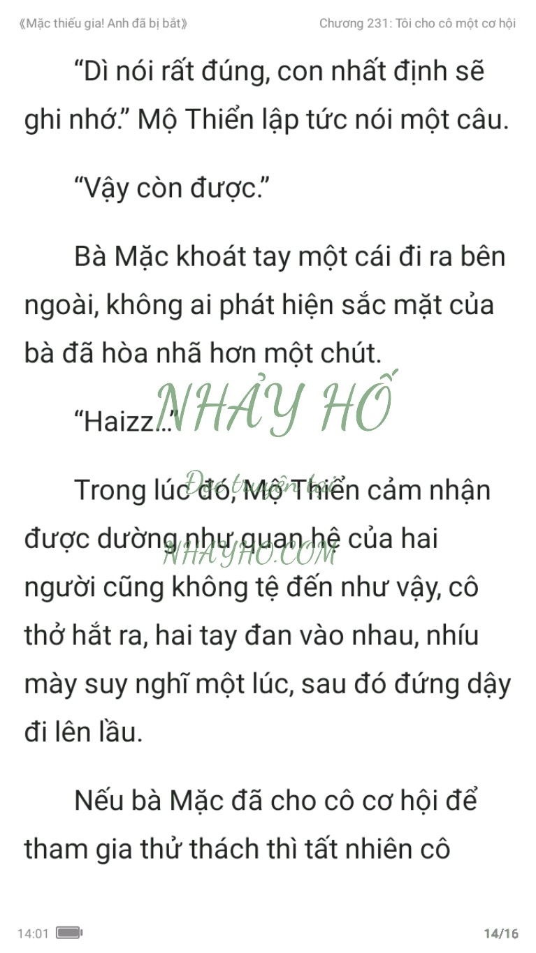 mac-thieu-gia-anh-da-bi-bat-231-13