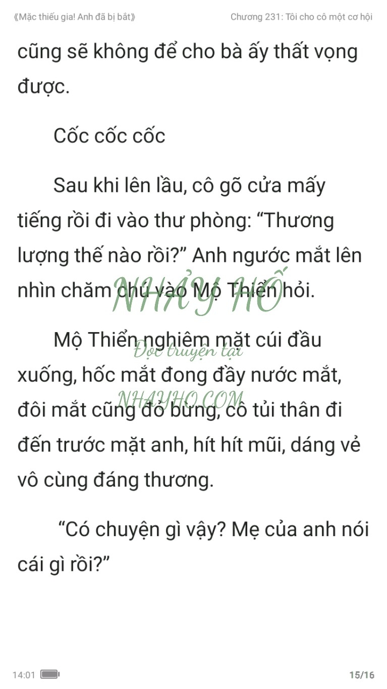 mac-thieu-gia-anh-da-bi-bat-231-14